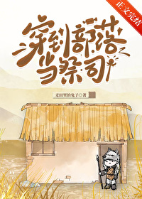 ����С˵:�������䵱��˾