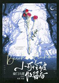 ����С˵:С���������Ŵ���������