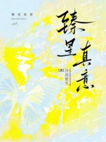 ����С˵:��������