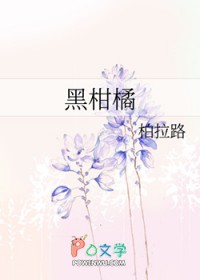 ����С˵:�ڸ���