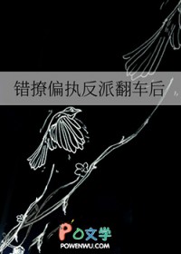 ����С˵:����ƫִ���ɷ�����