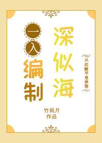 �ƻ�С˵:һ��������ƺ�