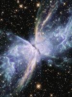 �ƻ�С˵:��ά