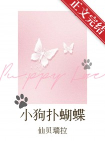 ����С˵:С���˺���