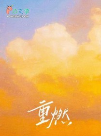 ����С˵:��ȼ