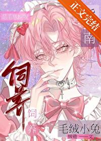 ����С˵:ë��С������ָ��