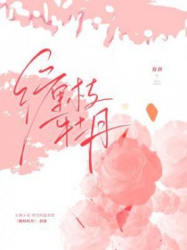 ����С˵:��֦ĵ��