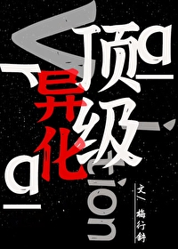 ����С˵:�����컯