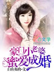 ����С˵:����С���ţ��۰��ɻ�