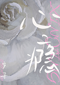 ����С˵:���