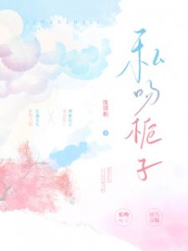 ����С˵:˽������