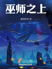 ����С˵:��ʦ֮��