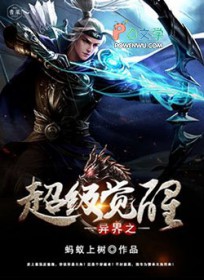 ����С˵:���֮��������