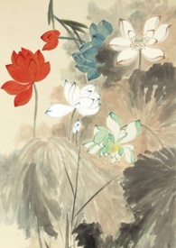 ����С˵:����ˮ