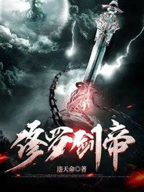 ����С˵:���޽���