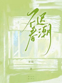 ����С˵:���ٴ���