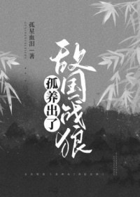 ����С˵:�������˵й�ս��