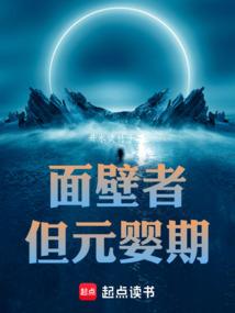 ����С˵:����ߣ���ԪӤ��