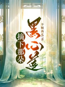 ����С˵:ժ���Ƕ������