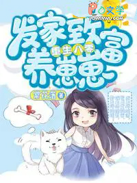 ����С˵:���İ������