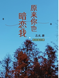 ����С˵:ԭ����Ҳ������