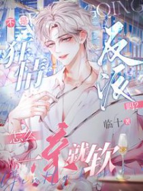 ����С˵:���ǿ��鷴������ôһ�׾���