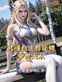 ����С˵:���׻���������������˫