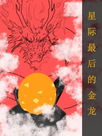 ����С˵:ȫ�Ǽ����Ľ���