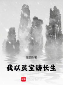 ����С˵:�����鱦������