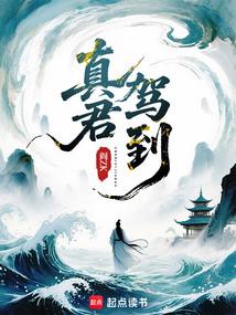 ����С˵:����ݵ�