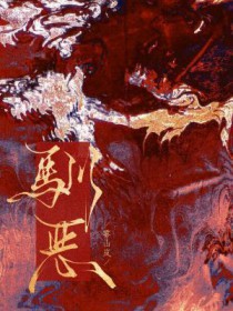 ����С˵:ѱ��