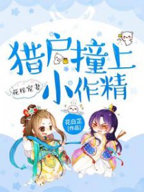 ����С˵:�������ޣ��Ի�ײ��С����