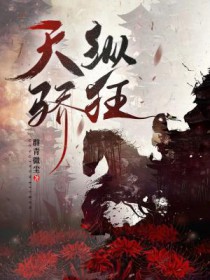 ����С˵:���ݽ���