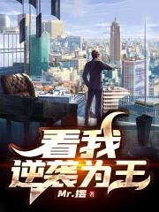 ����С˵:������ϮΪ��