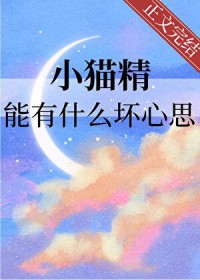 ����С˵:Сè������ʲô����˼