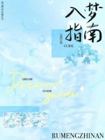 ����С˵:����ָ��