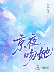 ����С˵:��ҹ����