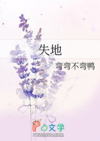 �ƻ�С˵:ʧ��