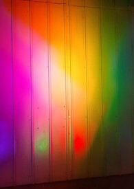 ����С˵:������������һ��