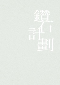 ����С˵:שʯ�ƻ�