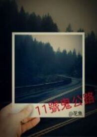 �ƻ�С˵:11�Ź���·