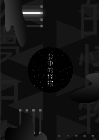 ����С˵:���еĹ���