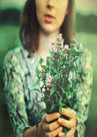 ����С˵:����ע���Һ���