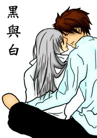 ����С˵:�����