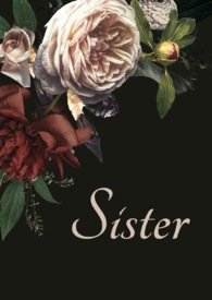 ����С˵:���Ƿǡ�����