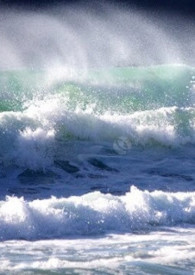 ����С˵:������