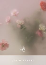 ����С˵:��