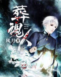 �ƻ�С˵:�����