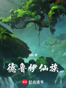 ����С˵:��³������