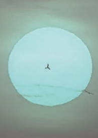 ����С˵:���׷��